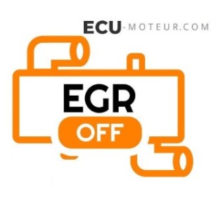 FORFAIT SUPPRESSION VANNE EGR PSA(CITROEN/PEUGEOT) CALCULATEUR DELPHI DDCR